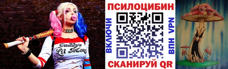 Псилоцибиновые грибы Cubensis  Купить где  Кемь 